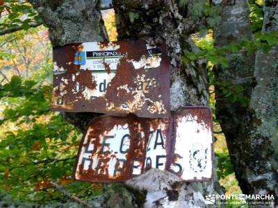 Hayedos Parque Natural de Redes;la pedriza mapa callejones de las majadas puente de la constitución